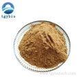 Pure Natural Green Coffee Bean Extract Chlorogenic Acid